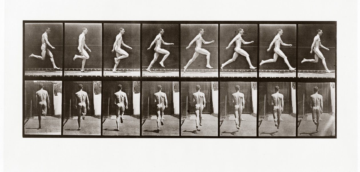 Homem, executando, prato, 65, animal, locomotion, 1887 de Eadweard Muybridge