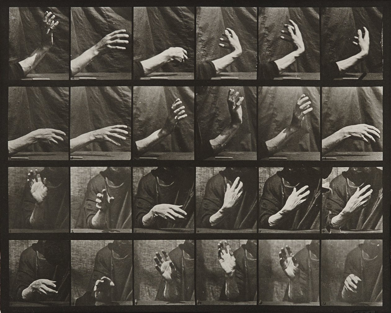 Movimento da mão; tempo de batida de Eadweard Muybridge