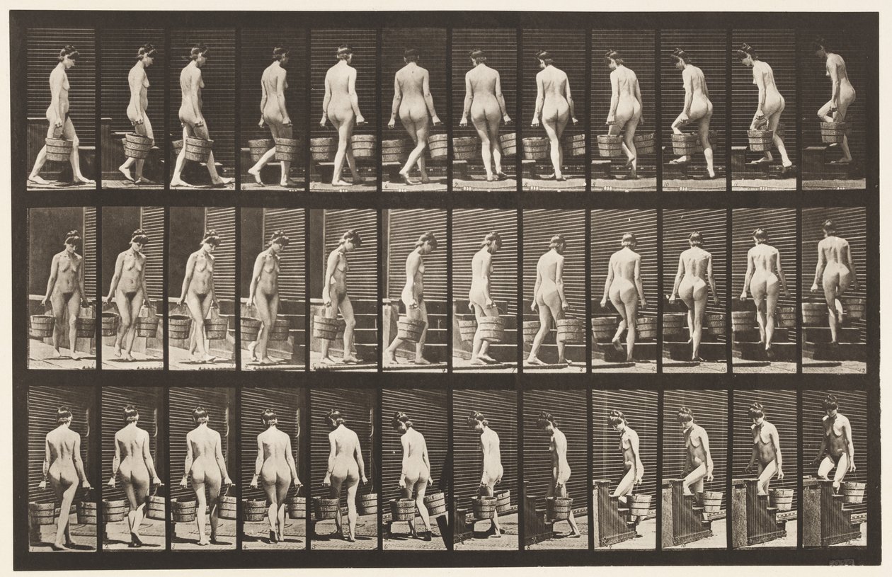 Ilustração 104. Escadas Giratórias e Ascendentes, Balde de Água em Cada Mão, 1872-1885 de Eadweard Muybridge