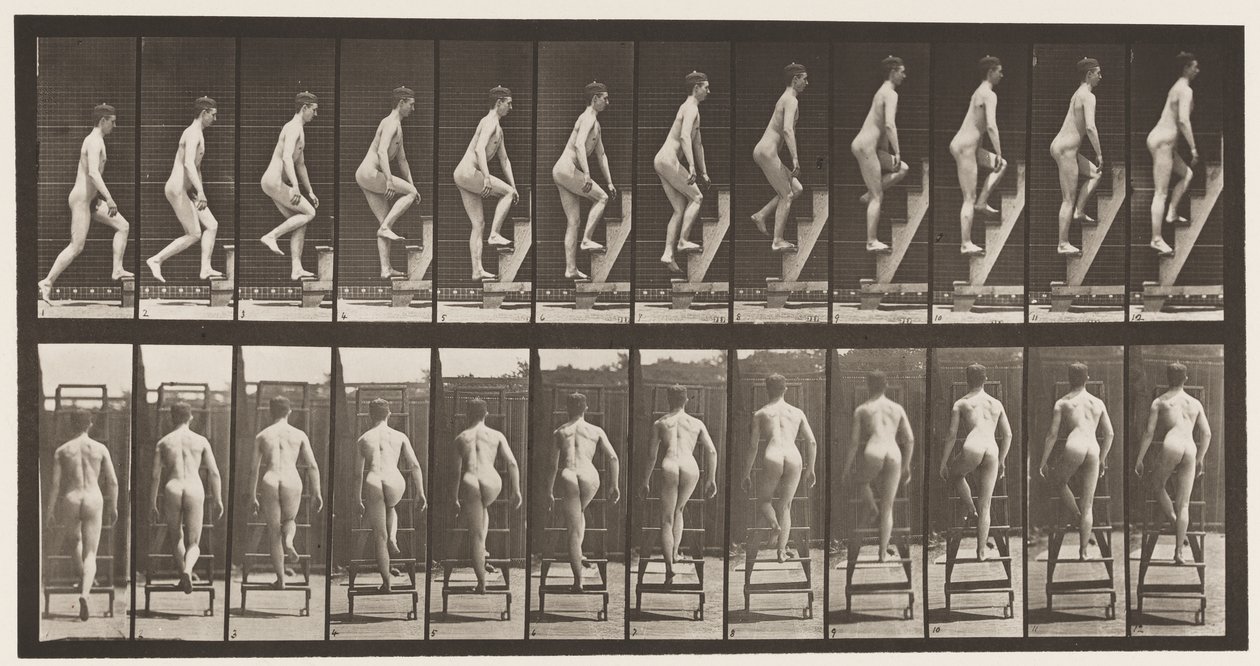 Placa 109. Escada Ascendente, 1872-1885 de Eadweard Muybridge