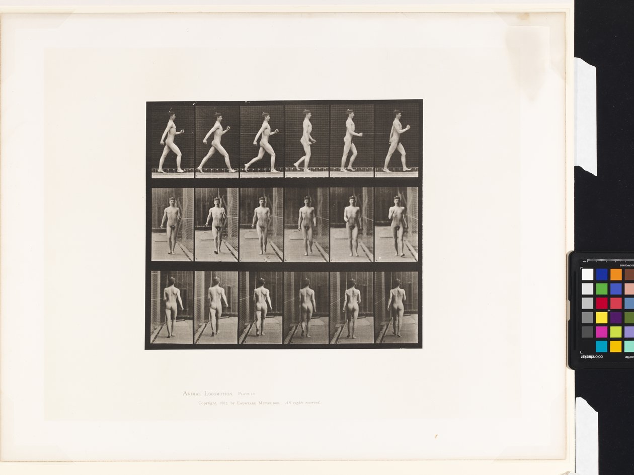 Placa 10. Caminhada de Eadweard Muybridge