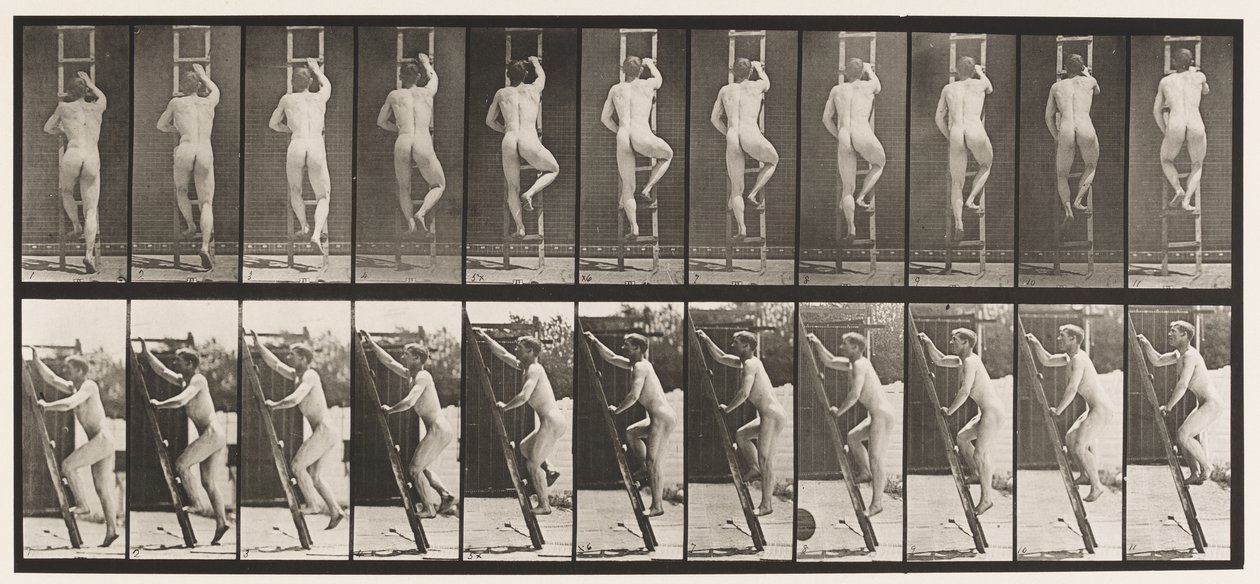 Placa 111. Escada ascendente de Eadweard Muybridge