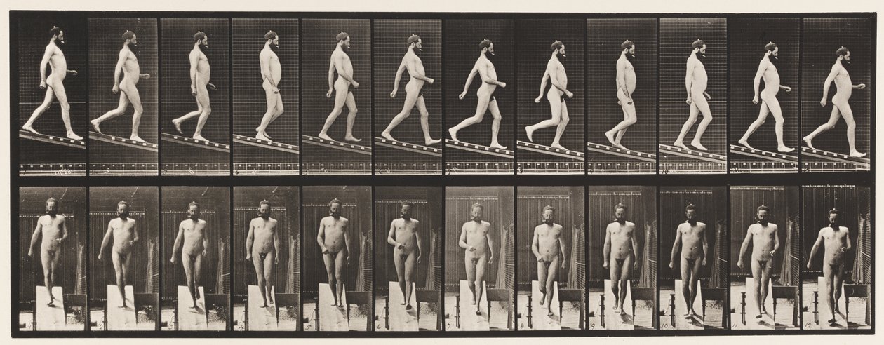 Placa 113. Inclinação Decrescente, 1 em 4, 1872-1885 de Eadweard Muybridge