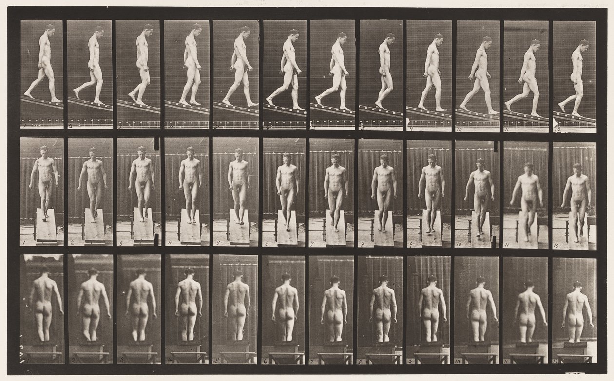 Placa 114. Inclinação Decrescente, Ângulo 1 em 4, 1872-1885 de Eadweard Muybridge