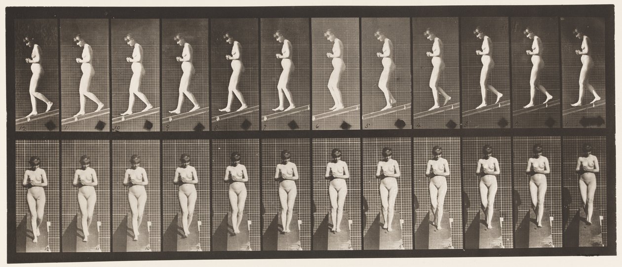 Placa 115. Inclinação descendente com as mãos cruzadas na frente de Eadweard Muybridge
