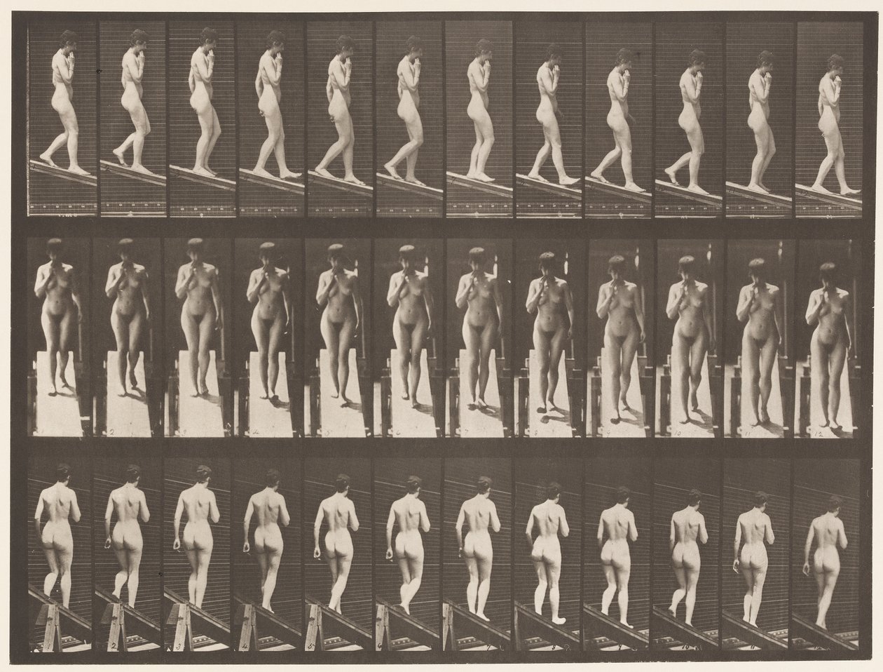 Placa 116. Inclinação Descendente, Uma Mão no Queixo de Eadweard Muybridge