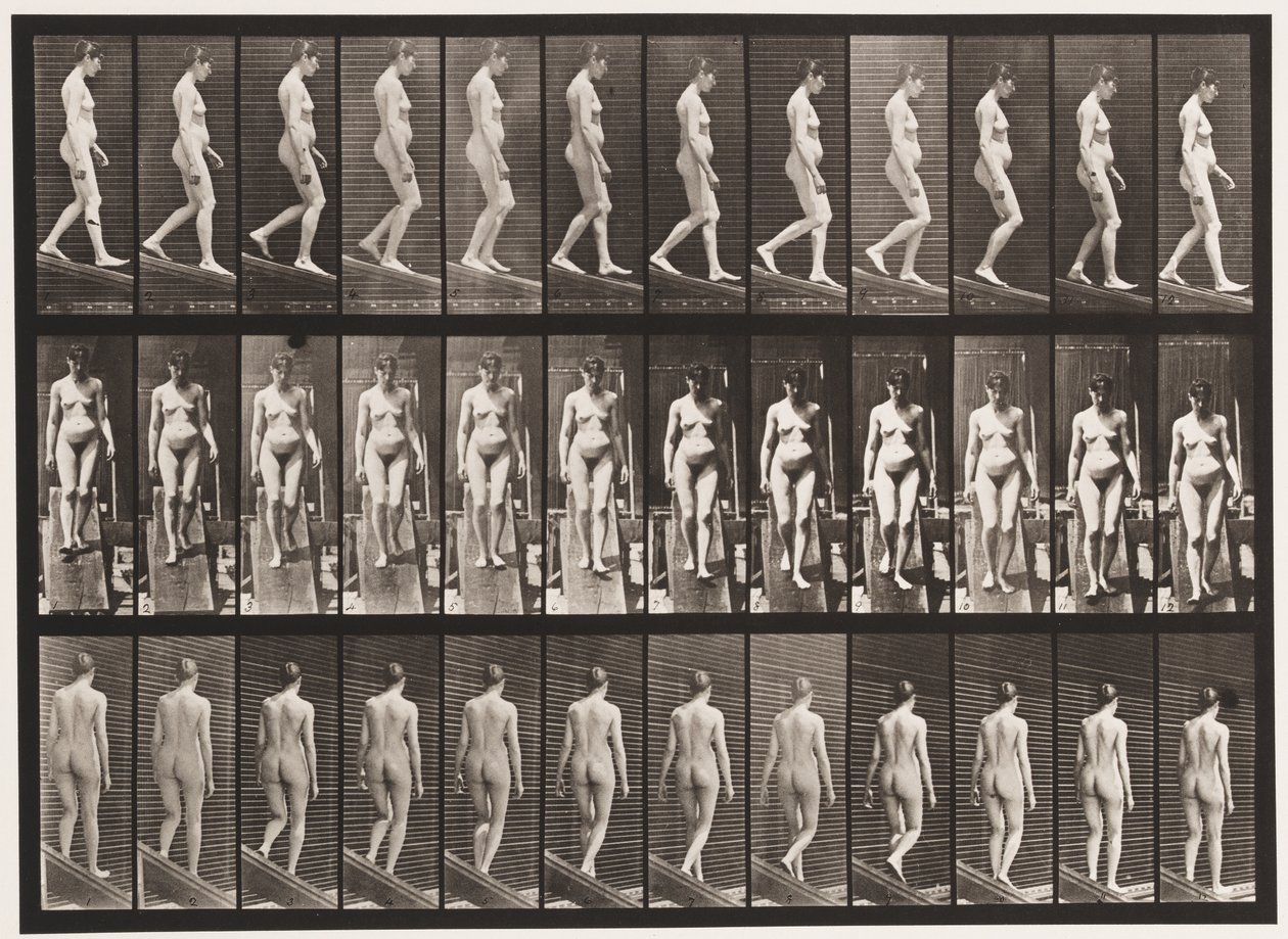 Placa 117. Inclinação Decrescente, 1872-1885 de Eadweard Muybridge