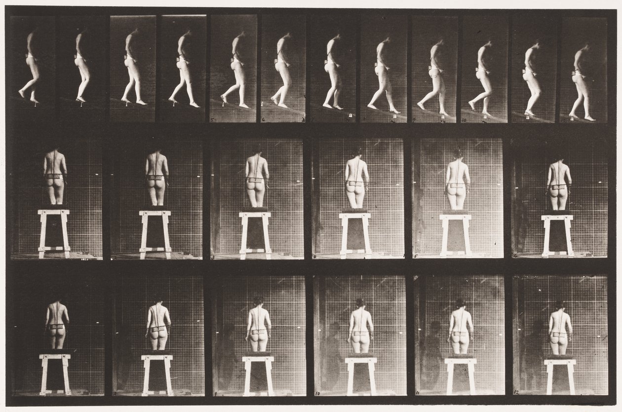 Placa 118. Inclinação Descendente de Eadweard Muybridge