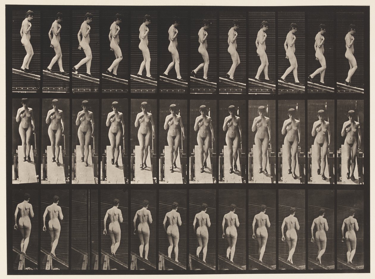 Placa 119. Inclinação descendente, mão direita no peito (sapatos) de Eadweard Muybridge