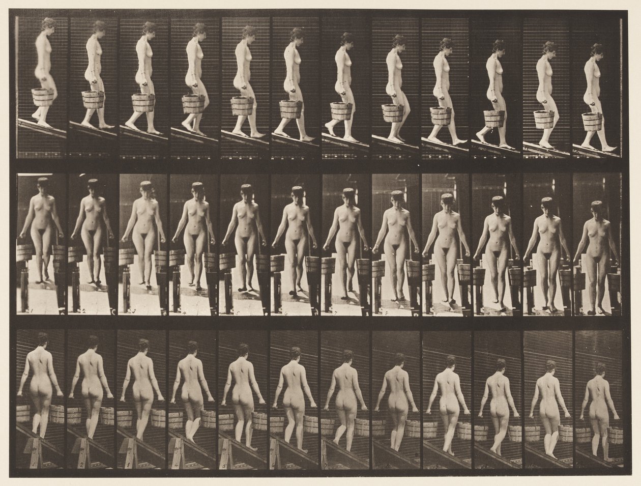 Placa 122. Inclinação Decrescente, Balde de Água em Cada Mão, 1872-1885 de Eadweard Muybridge