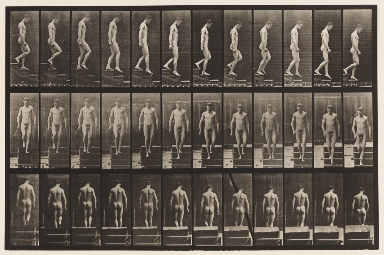 Placa 125. Escadas descendentes de Eadweard Muybridge