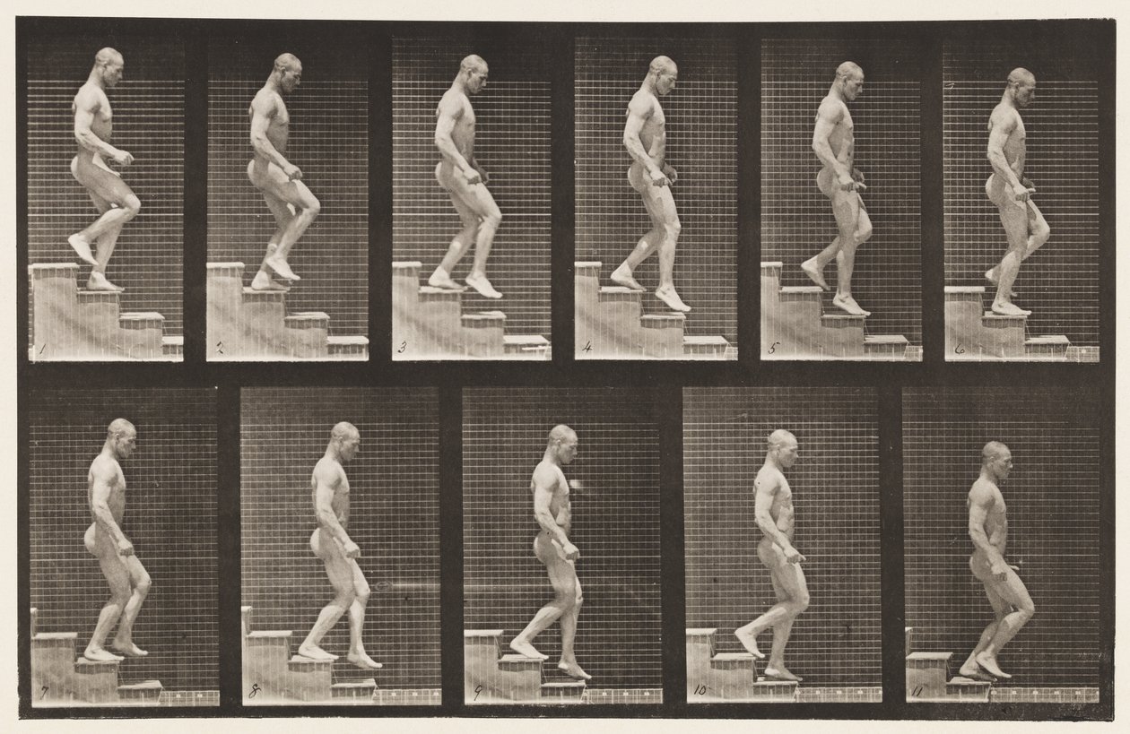 Placa 126. Escadas descendentes de Eadweard Muybridge
