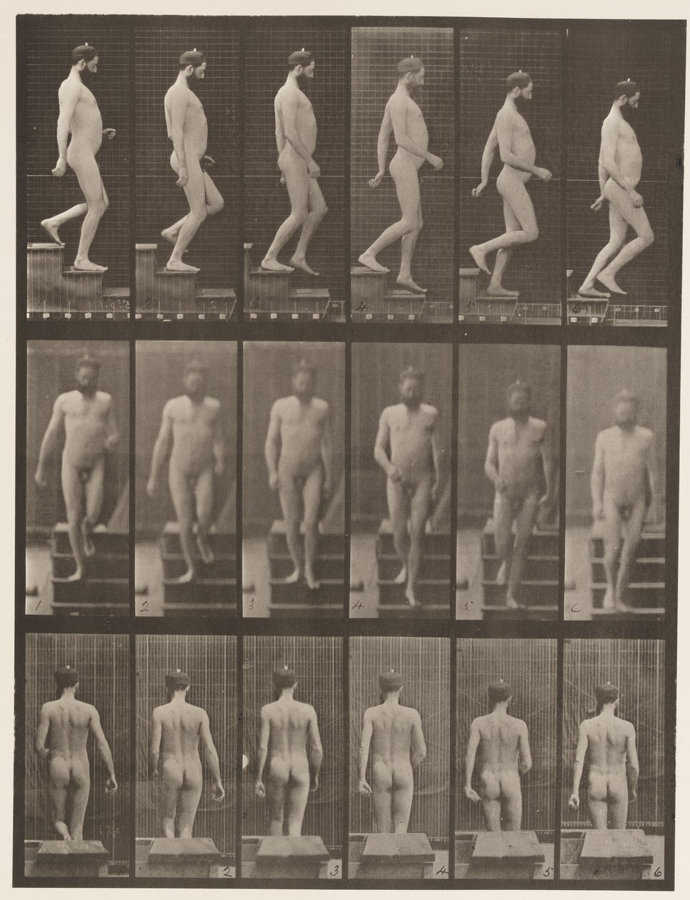 Placa 127. Escadas Descendentes, 1872-1885 de Eadweard Muybridge
