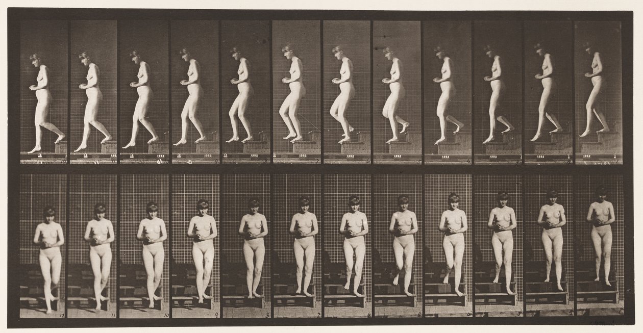 Placa 128. Escadas Descendentes, Mãos Entrelaçadas, 1872-1885 de Eadweard Muybridge