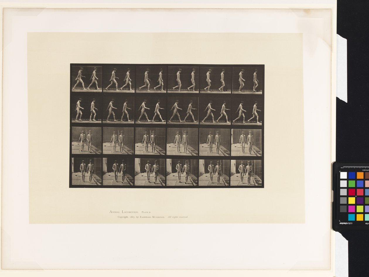 Prato 12.Caminhada de Eadweard Muybridge