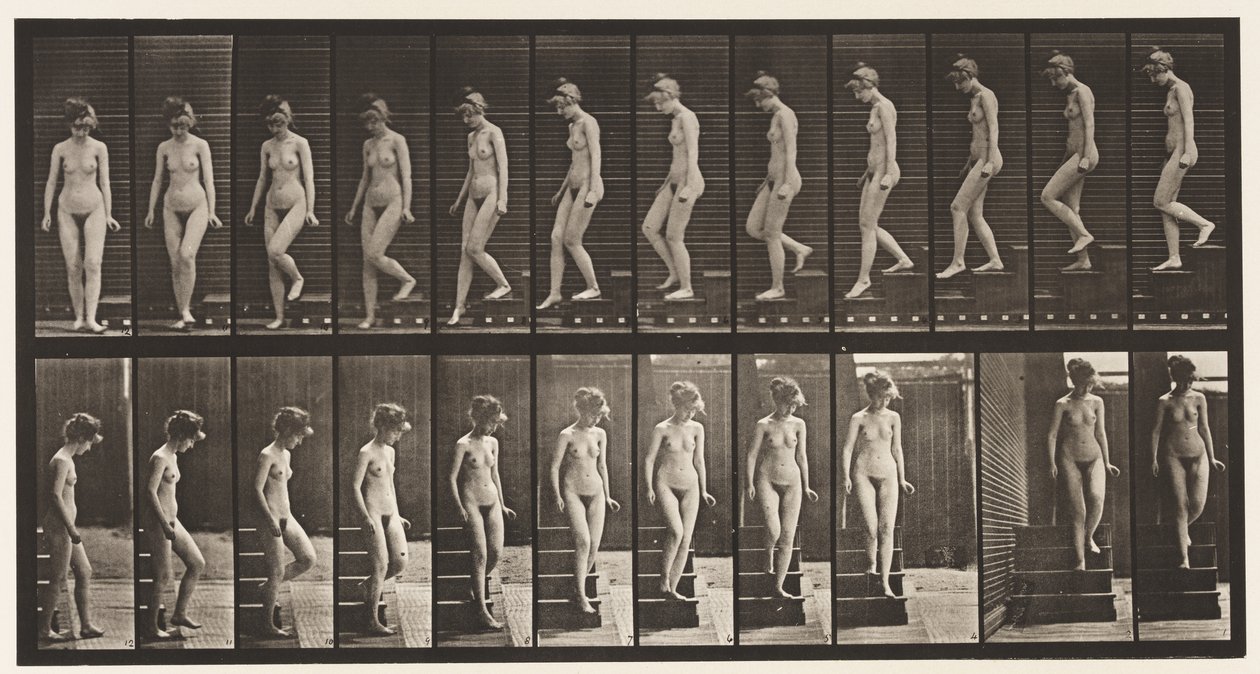 Placa 137. Escadas descendentes, virando-se de Eadweard Muybridge