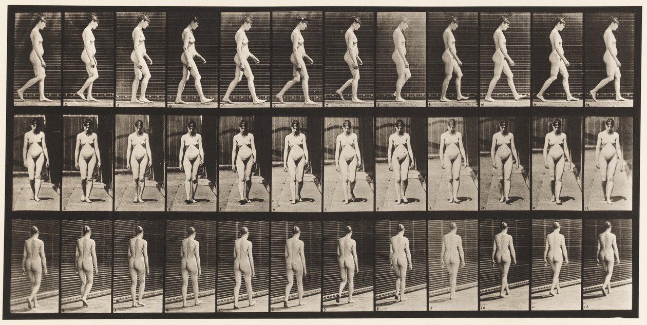 Placa 13. Caminhada, 1872-1885 de Eadweard Muybridge