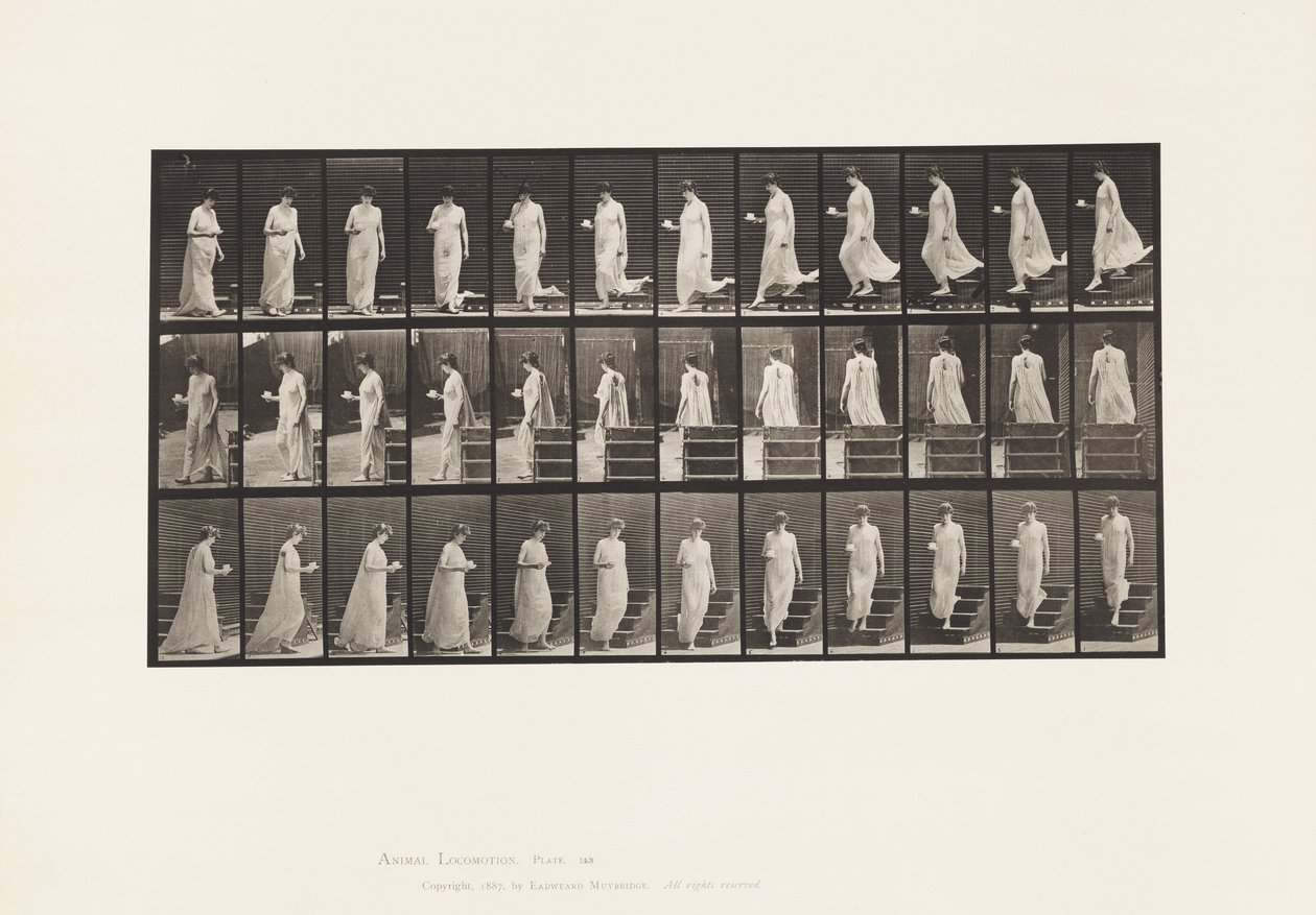 Placa 143. Inclinação Descendente, Taça Giratória e Pires na Mão Direita de Eadweard Muybridge