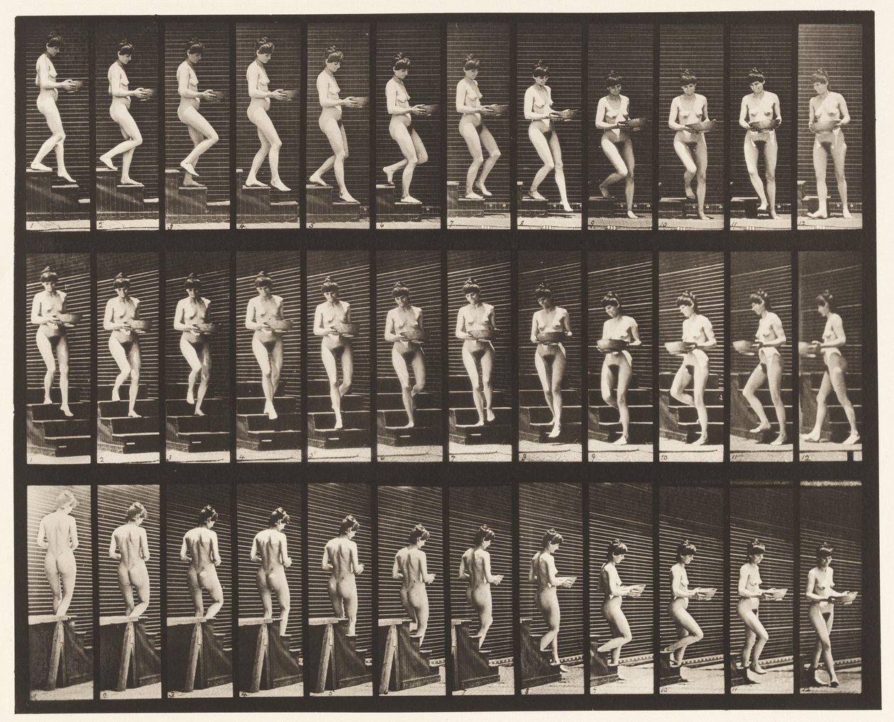 Placa 144. Escada Descendente; Bacia Giratória em Mãos de Eadweard Muybridge