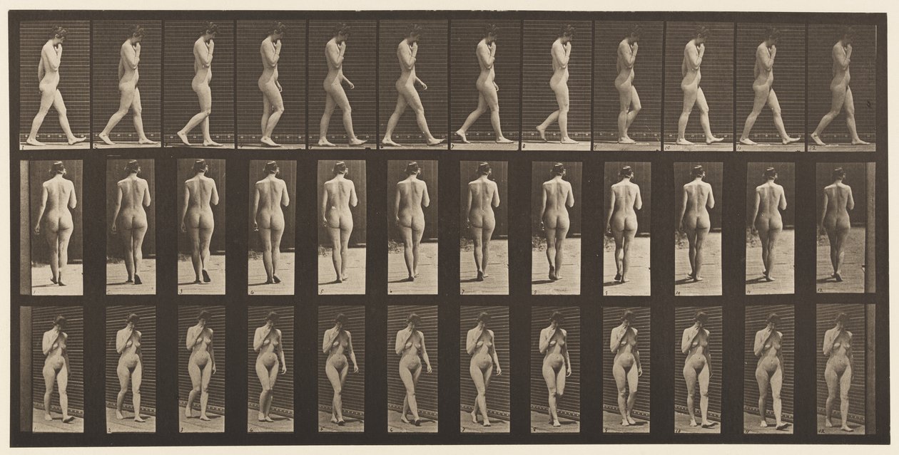 Placa 14. Caminhando, Mão Direita no Queixo, 1872-1885 de Eadweard Muybridge