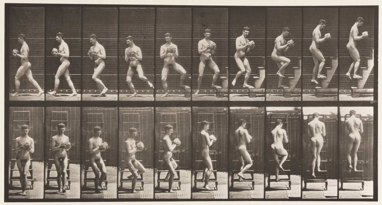 Placa 151. Degraus Descendo, Virando, Rock in Hands, 1872-1885 de Eadweard Muybridge