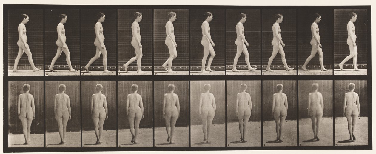 Placa 15. Caminhando de Eadweard Muybridge