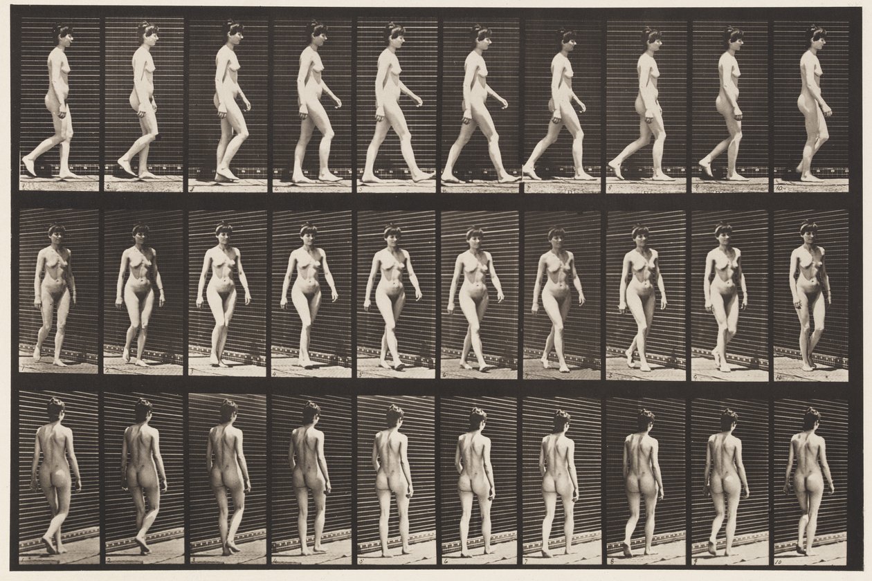 Placa 16. Caminhada, 1872-1885 de Eadweard Muybridge