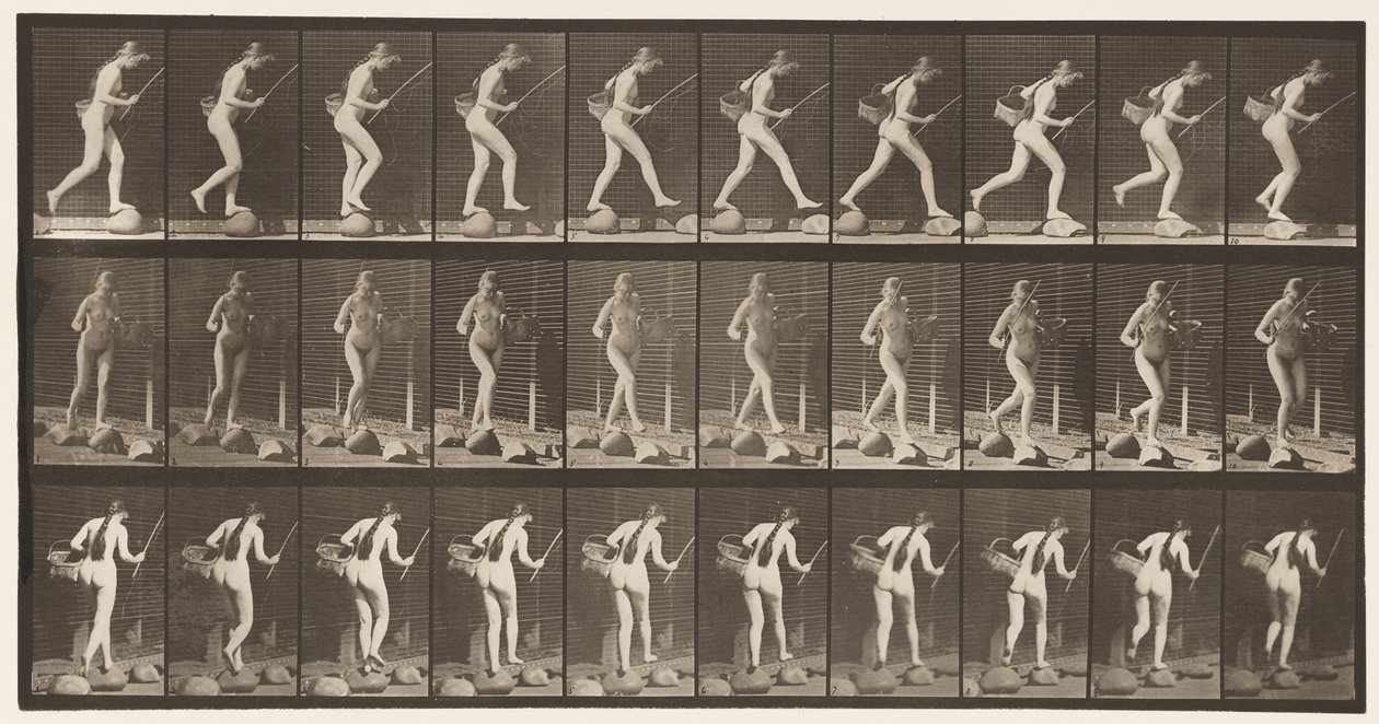 Placa 177. Travessia do riacho em degraus com vara de pesca e cesta de Eadweard Muybridge