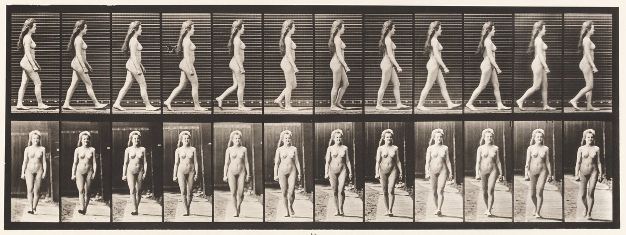 Placa 17. Caminhada, 1872-1885 de Eadweard Muybridge