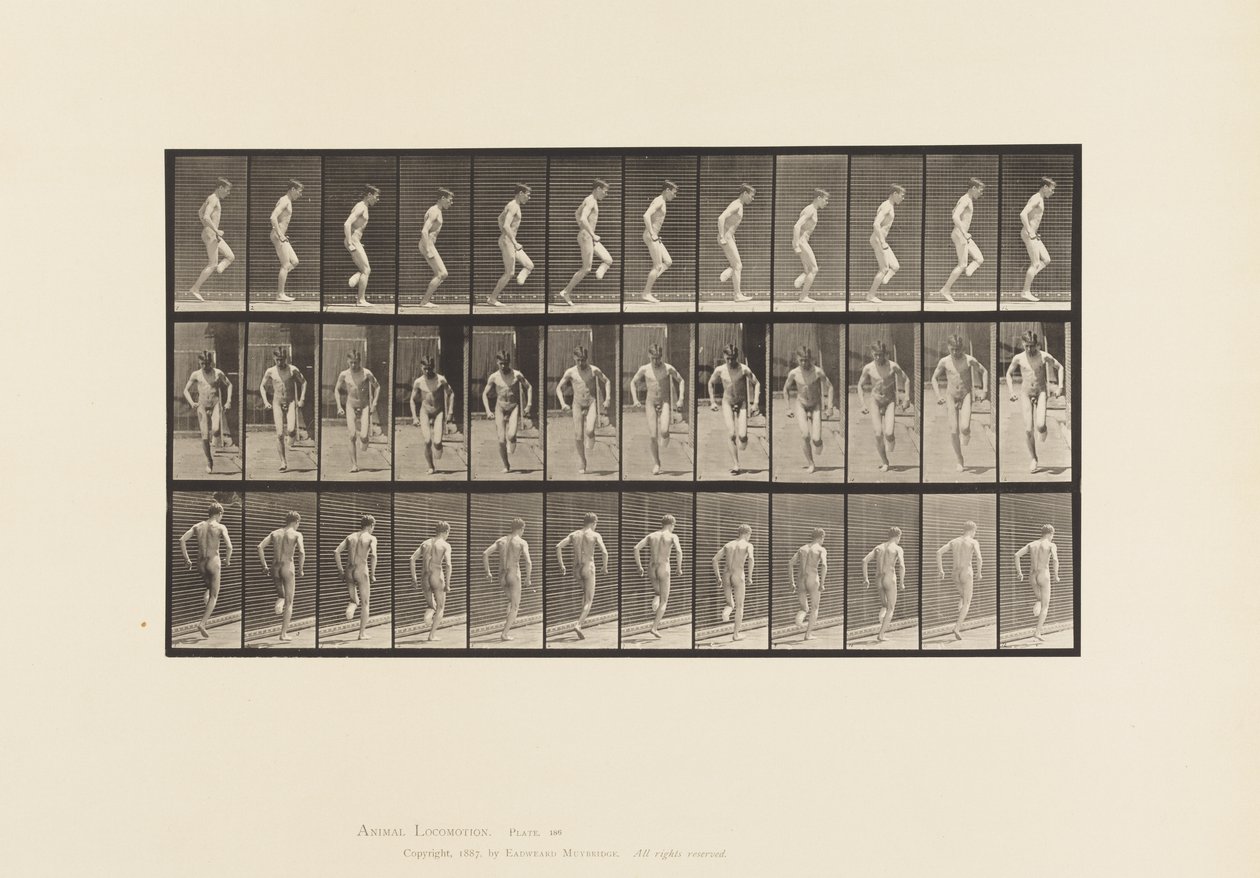 Placa 186.Comprando no Pé Direito, 1885 de Eadweard Muybridge