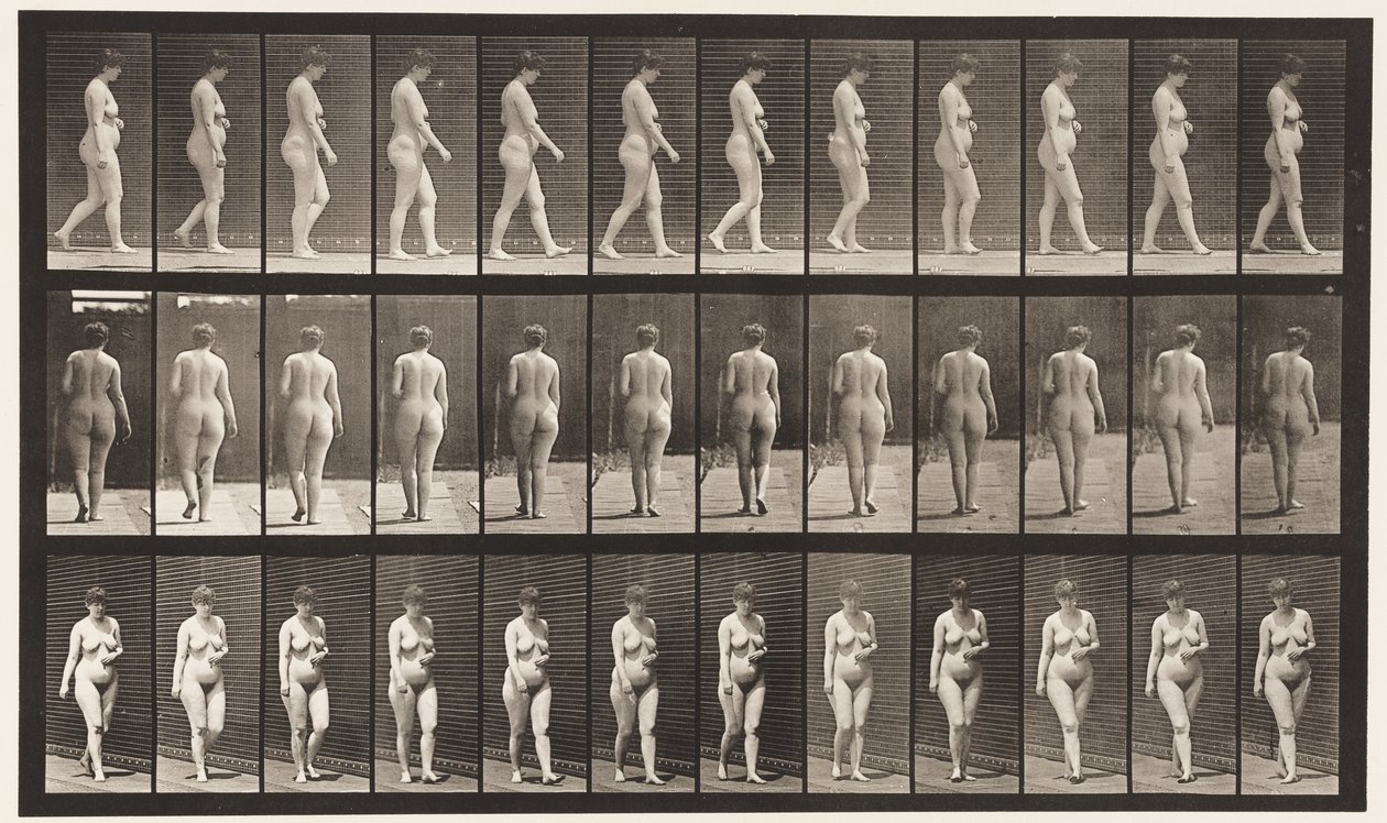 Placa 18. Caminhando, Mão Esquerda Através do Abdômen, 1872-1885 de Eadweard Muybridge