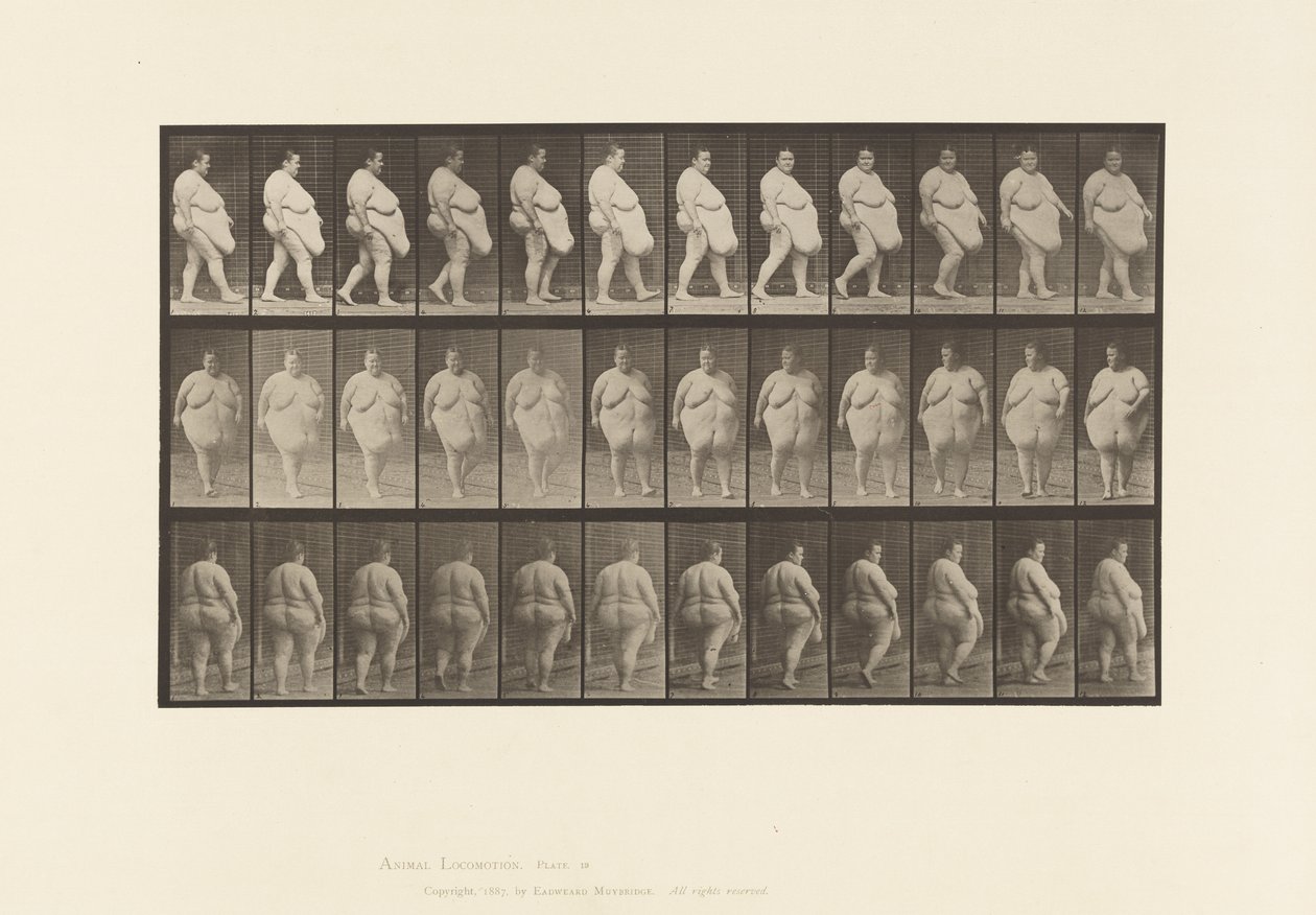 Prato 19. Andar a pé, Começar a dar a volta de Eadweard Muybridge