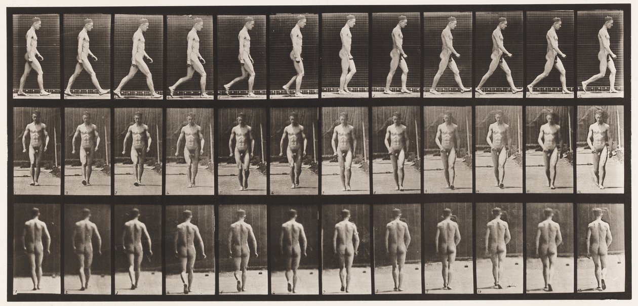 Placa 1. Caminhando de Eadweard Muybridge
