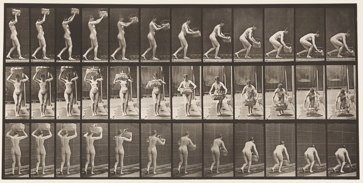 Placa 201. Pegando uma Cesta de 12 libras da Cabeça, Colocando-a no Chão, 1872-1885 de Eadweard Muybridge