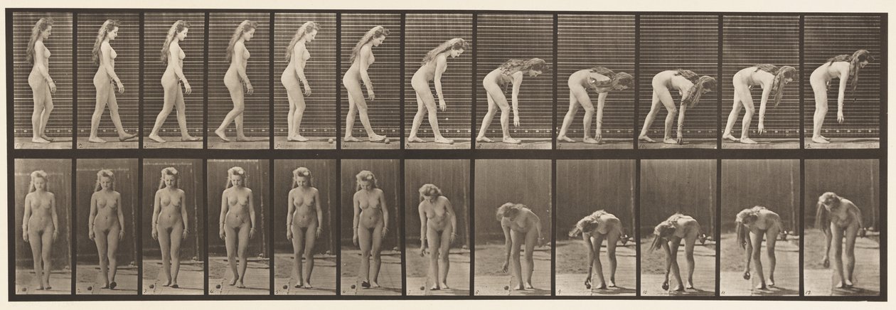 Placa 204. Parando para Pegar a Bola de Eadweard Muybridge