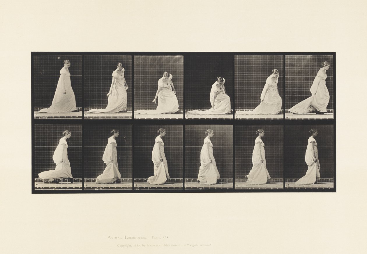 Placa 207. tremendo e levantando o trem, 1885 de Eadweard Muybridge