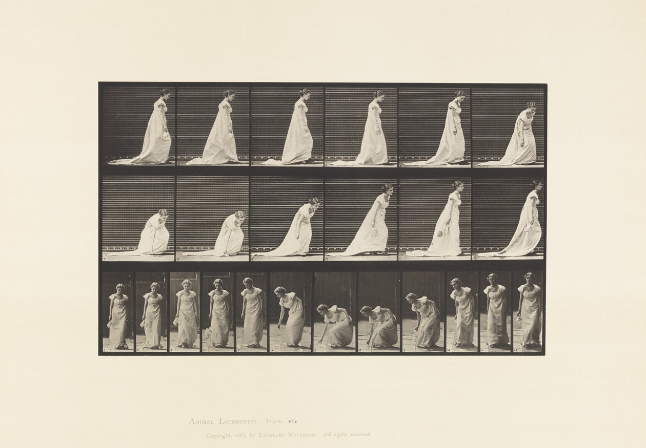Placa 209. Tooping e levantando uma mão-lenço, 1885 de Eadweard Muybridge
