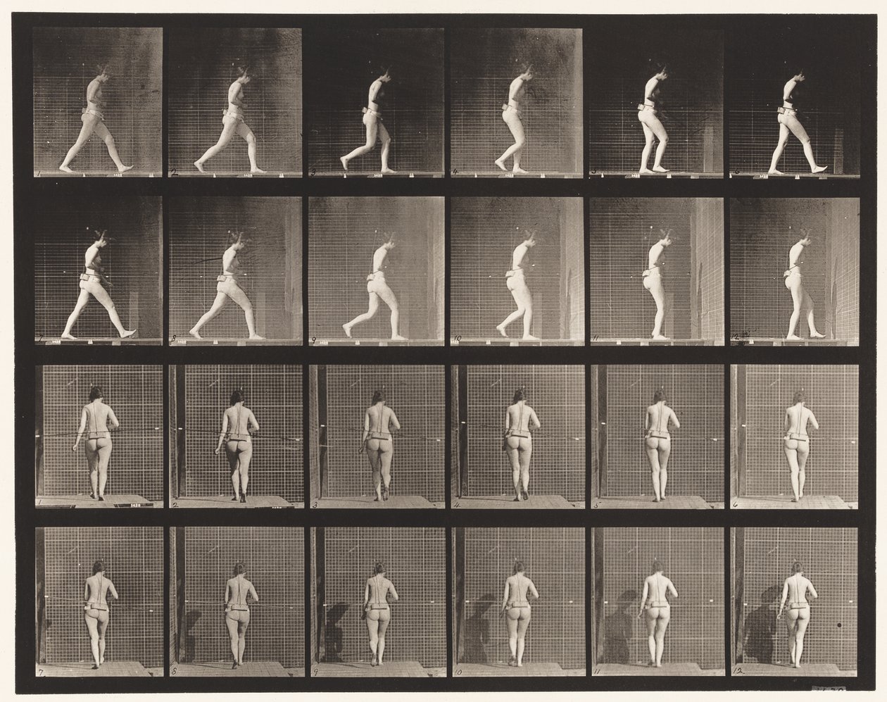 Placa 20. Caminhando, cotovelo direito dobrado de Eadweard Muybridge
