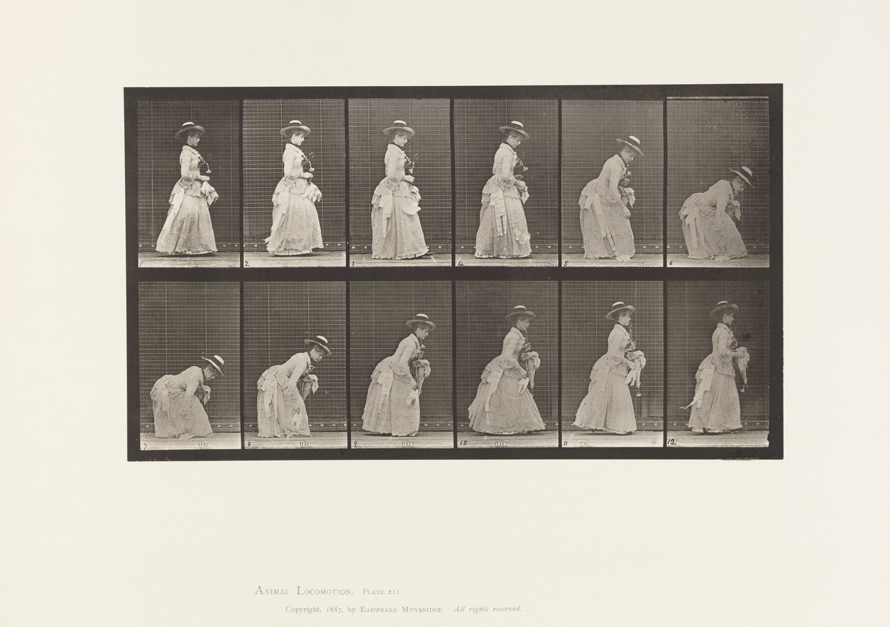 Placa 211. Tooping e levantando mão-lenço; Parasol na mão esquerda, 1885 de Eadweard Muybridge