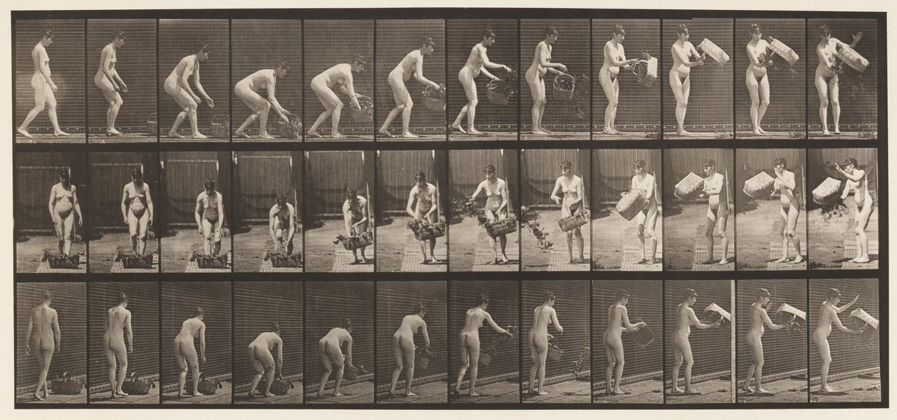 Placa 213. Cesto de levantamento e esvaziamento de Eadweard Muybridge