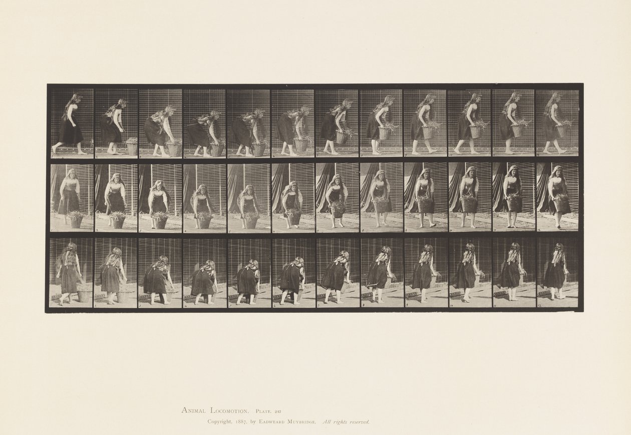 Placa 217. Tooping, Lifting and Carrying £ 30 cesta, 1885 de Eadweard Muybridge