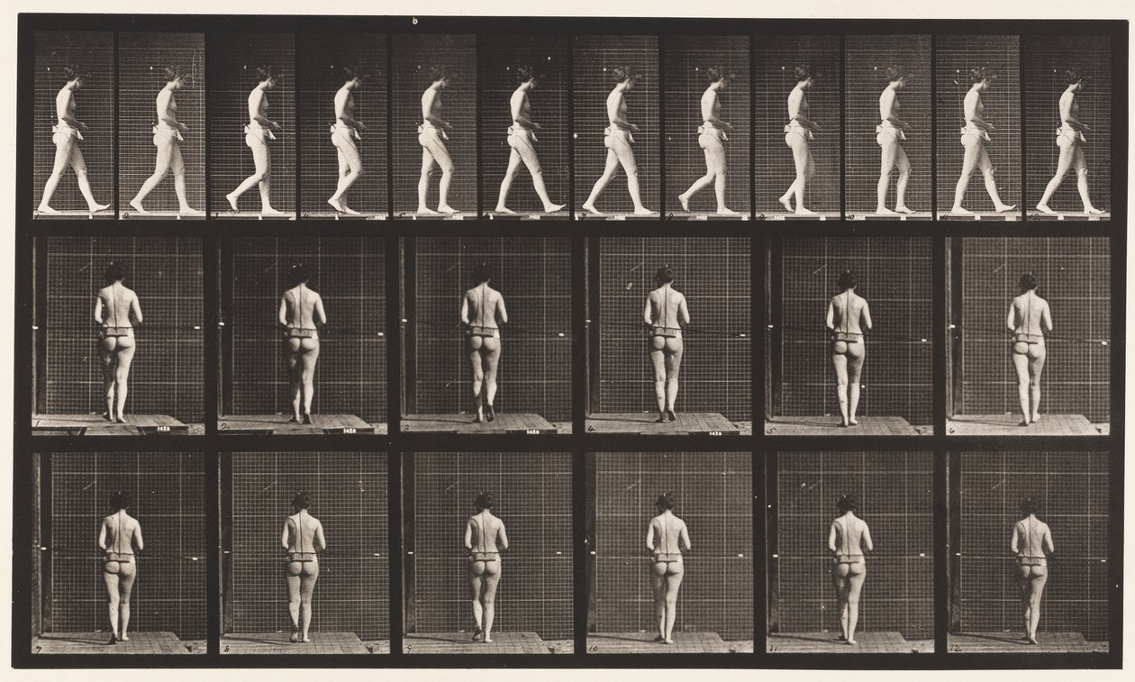 Prato 21. Andando, Ambos os Cotovelos Dobrados de Eadweard Muybridge