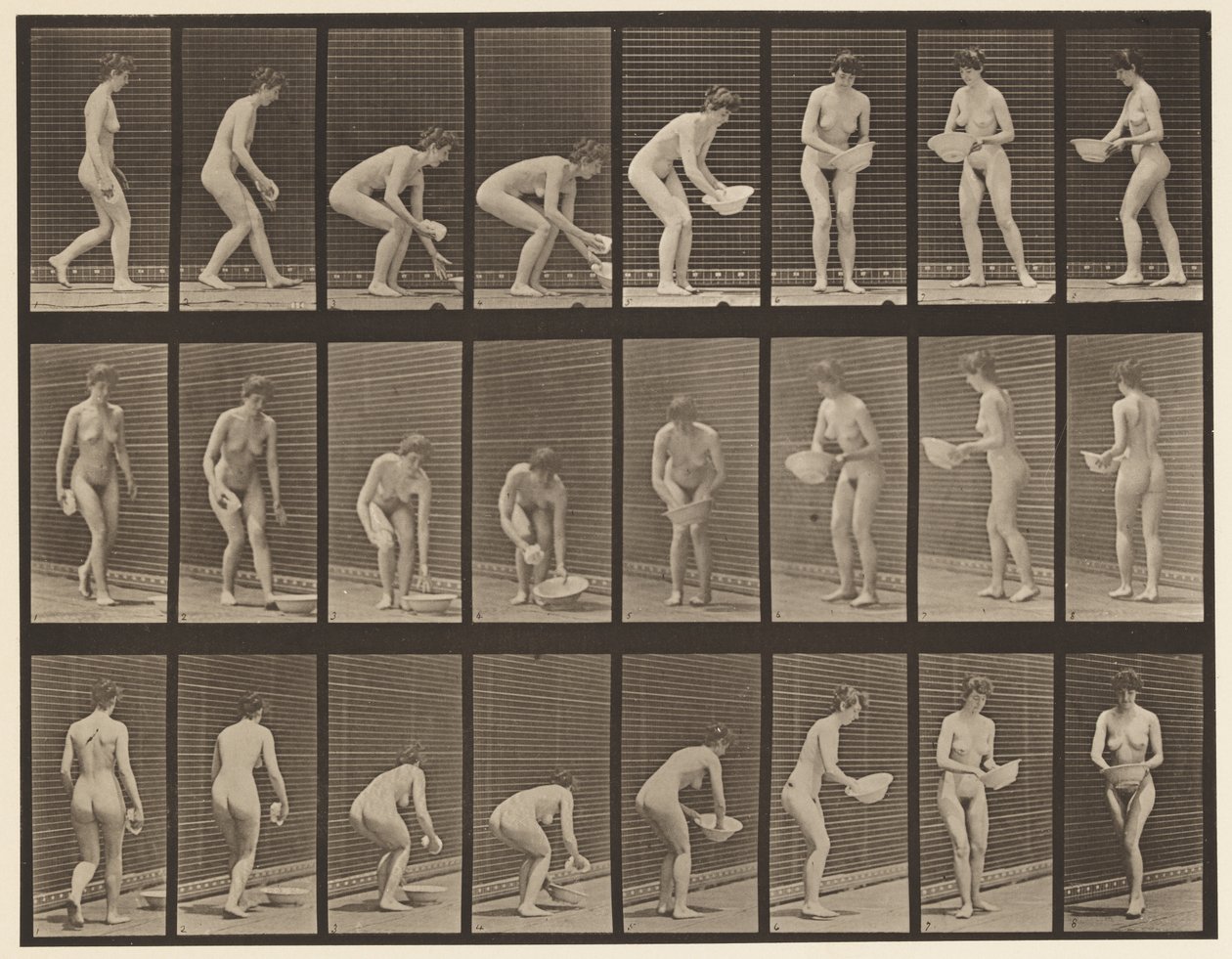 Chapa 223. Curva e Elevação da Bacia, Limpeza e Virada, 1872-1885 de Eadweard Muybridge