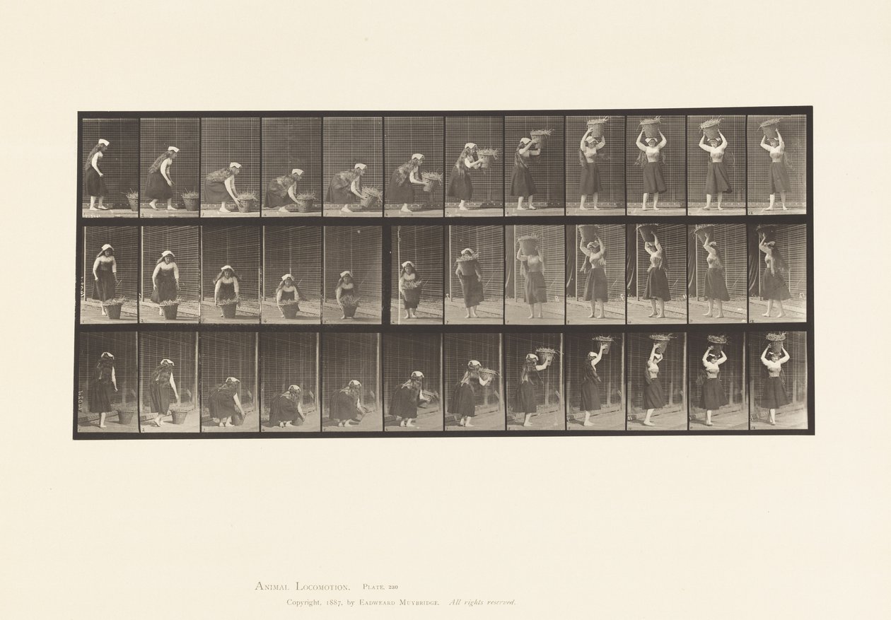 Placa 230. Levantamento de 30 libras Cesto do chão à cabeça, girando, 1885 de Eadweard Muybridge
