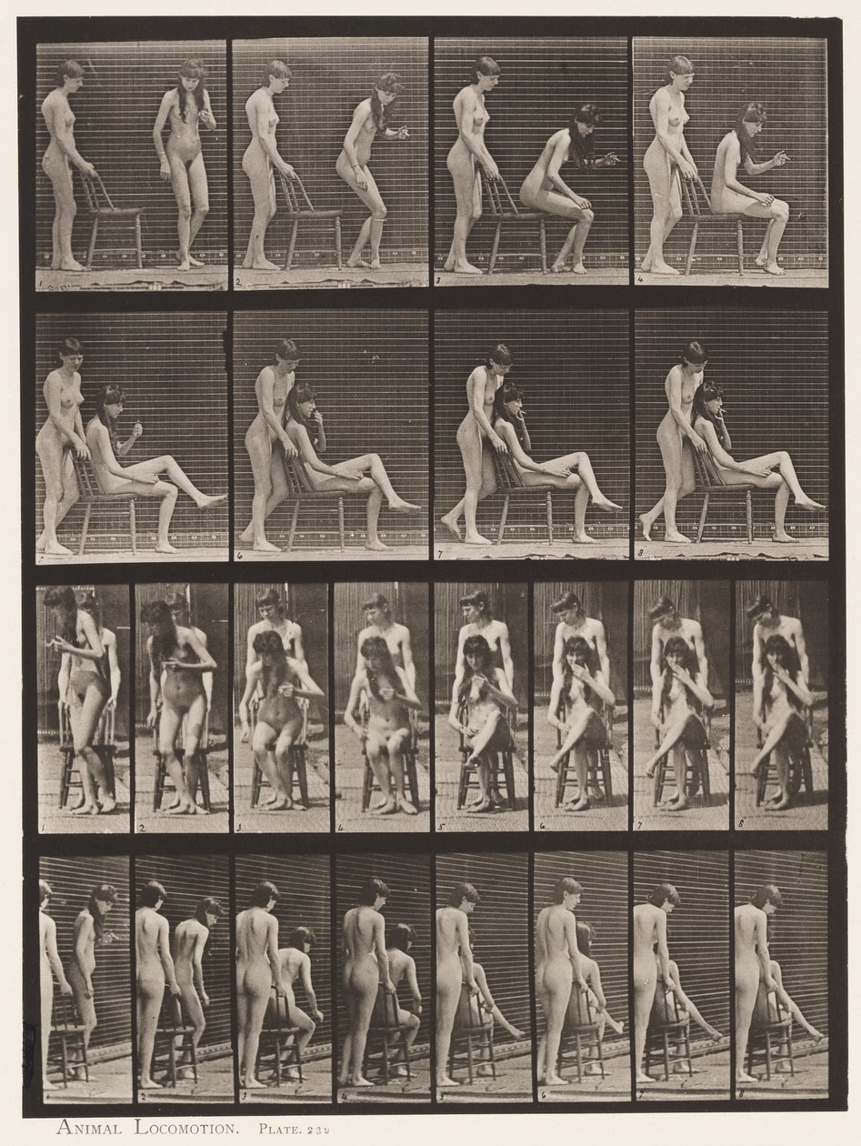 Prato 239. Dois Modelos;Um de Pé,o Outro Sentado,Cruzando Pernas de Eadweard Muybridge