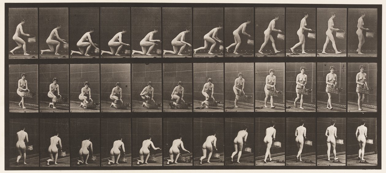 Placa 251. Ajoelhando-se no Joelho Esquerdo, Cesta na Mão Esquerda e Nascente, 1872-1885 de Eadweard Muybridge