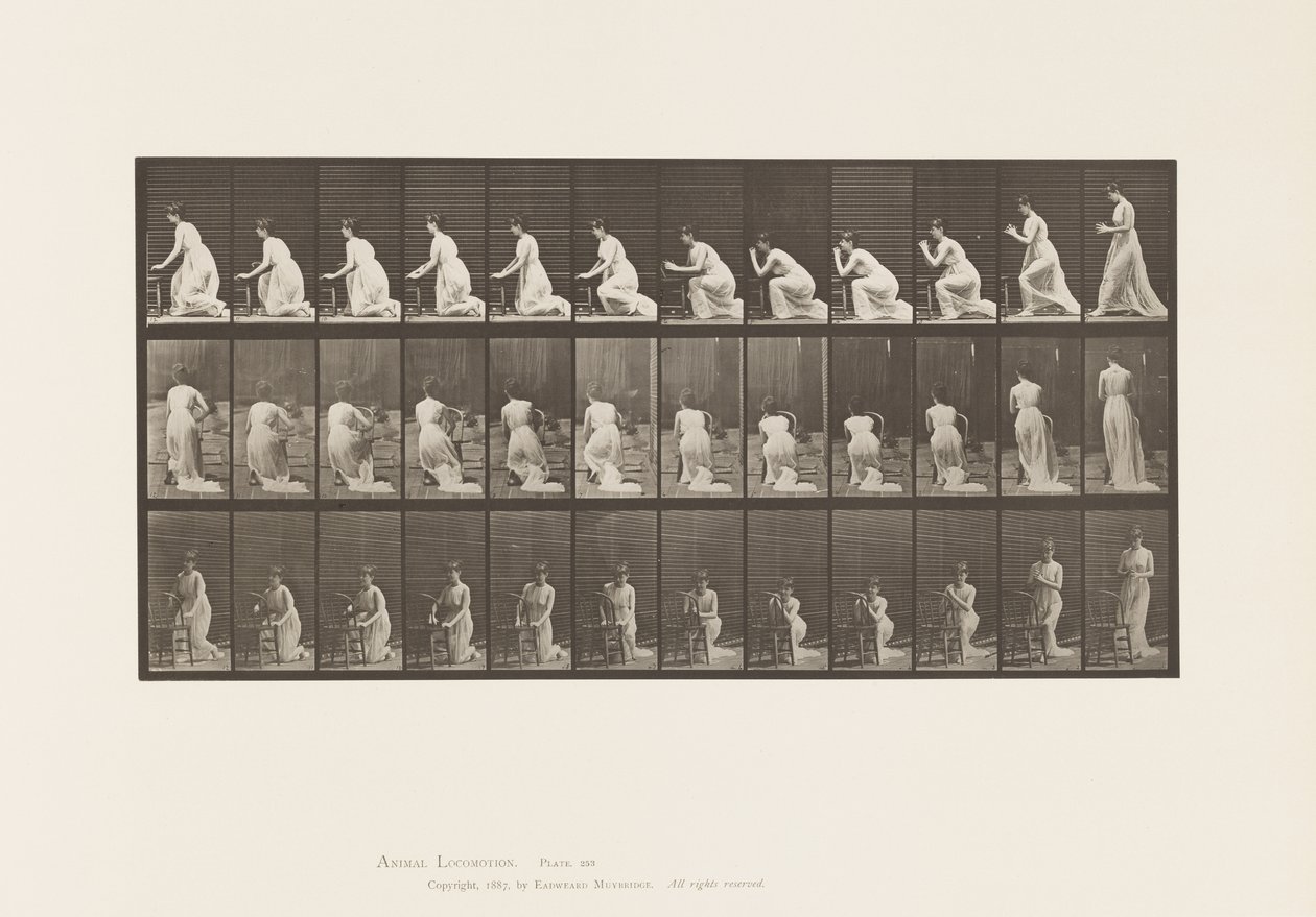 Placa 253. Ajoelhando-se cotovelos na cadeira, as mãos entrelaçadas, 1885 de Eadweard Muybridge
