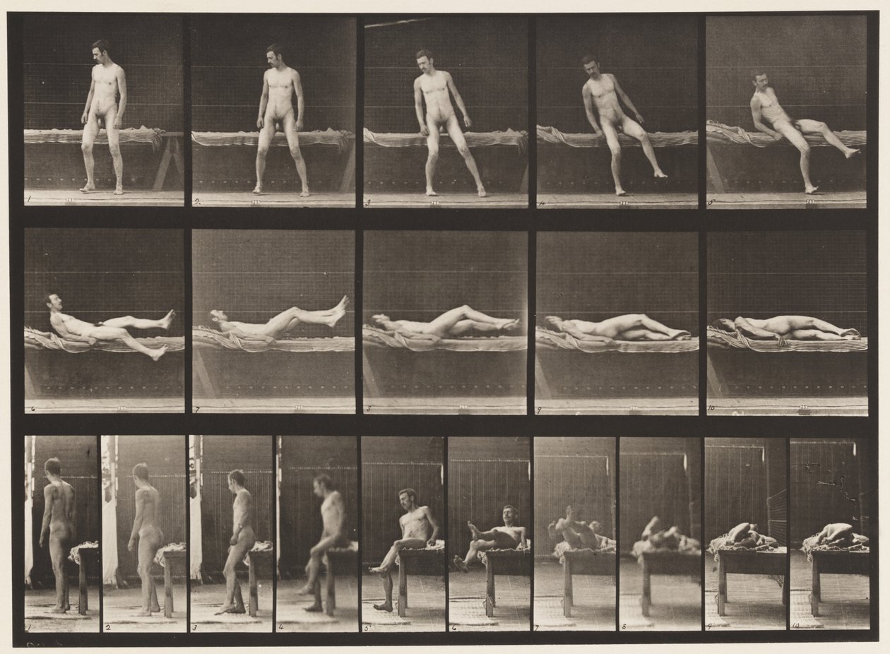 Placa 259. Deitada em um sofá e virada de lado, 1885 de Eadweard Muybridge