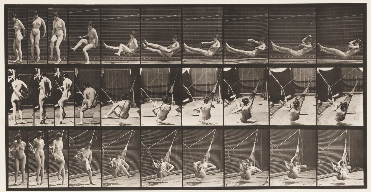 Placa 261. Entrando na Rede, 1872-1885 de Eadweard Muybridge