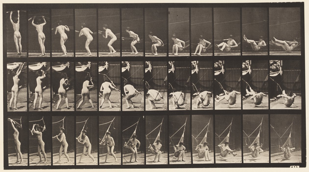 Prato 262. Saindo de Hammock de Eadweard Muybridge